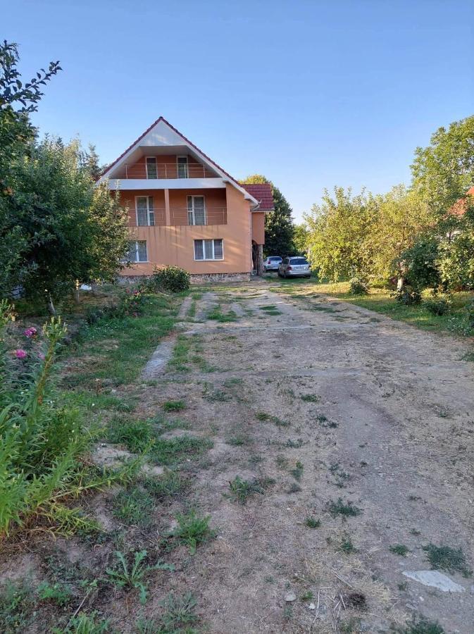 Casa Mario Apartman Nagyvárad Kültér fotó